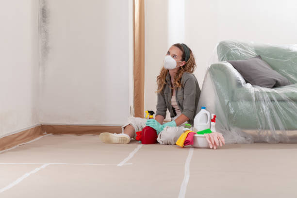 Reliable Mold Inspection contractor in Ronkonkoma, NY by WQB Mold Removal